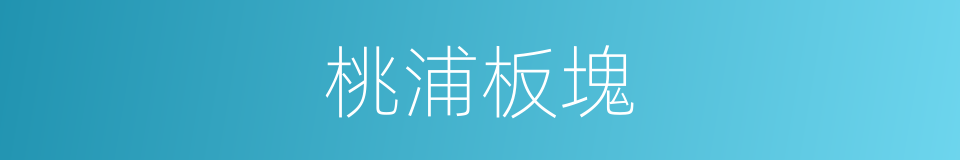 桃浦板塊的同義詞