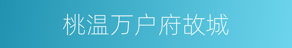 桃温万户府故城的同义词