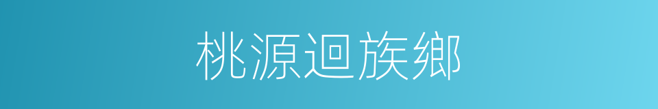 桃源迴族鄉的同義詞