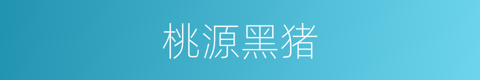 桃源黑猪的同义词