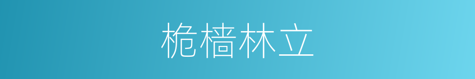 桅樯林立的意思