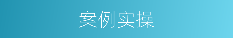 案例实操的同义词