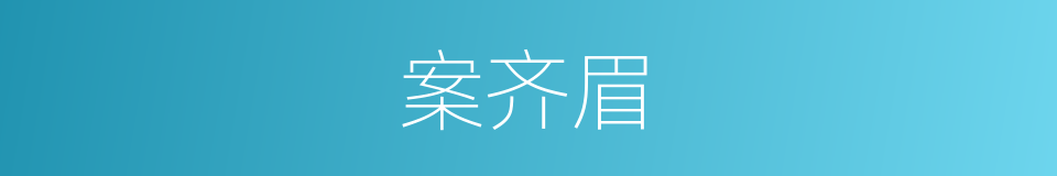 案齐眉的意思