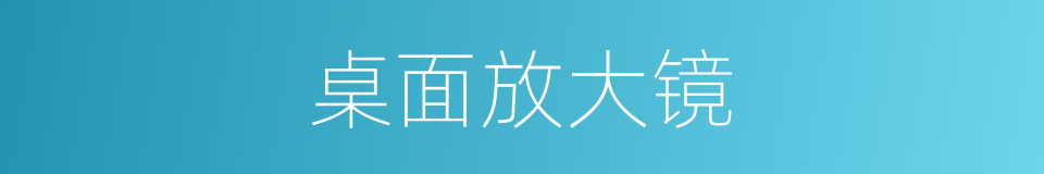 桌面放大镜的同义词