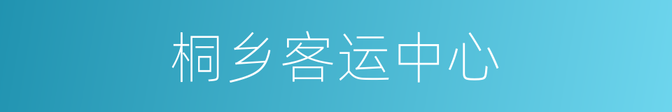 桐乡客运中心的同义词