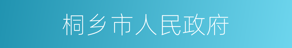 桐乡市人民政府的同义词