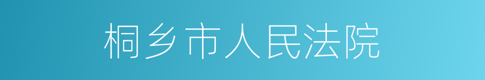 桐乡市人民法院的同义词