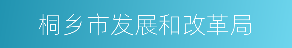 桐乡市发展和改革局的同义词