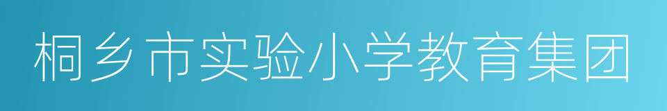 桐乡市实验小学教育集团的同义词