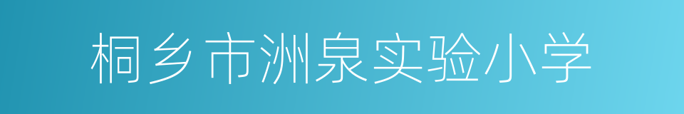 桐乡市洲泉实验小学的同义词