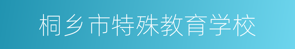 桐乡市特殊教育学校的同义词