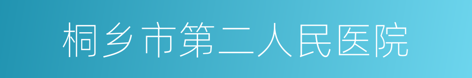 桐乡市第二人民医院的同义词
