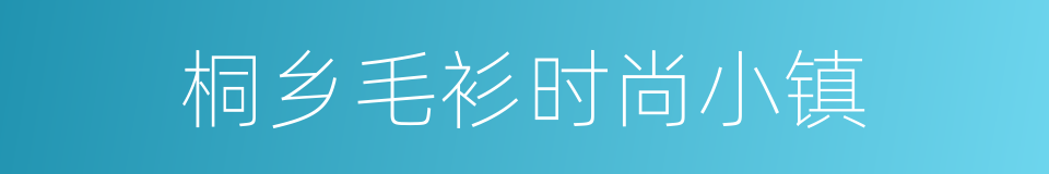 桐乡毛衫时尚小镇的同义词