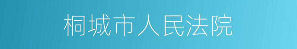 桐城市人民法院的同义词