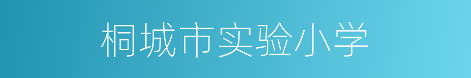 桐城市实验小学的同义词