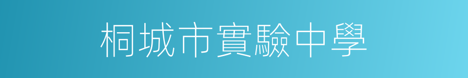 桐城市實驗中學的同義詞