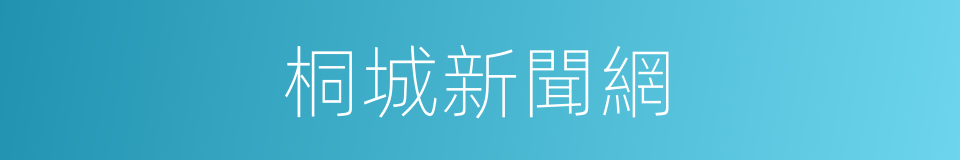 桐城新聞網的同義詞