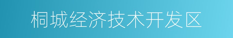 桐城经济技术开发区的同义词