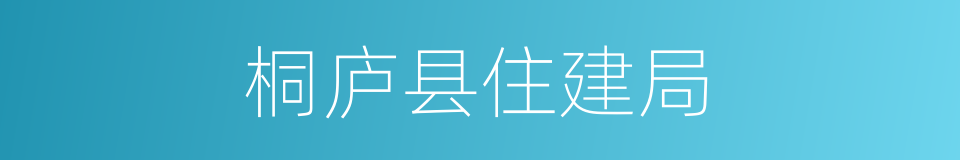 桐庐县住建局的同义词