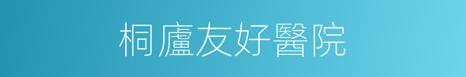 桐廬友好醫院的同義詞