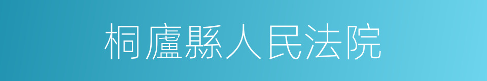 桐廬縣人民法院的同義詞