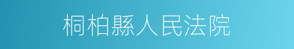 桐柏縣人民法院的同義詞