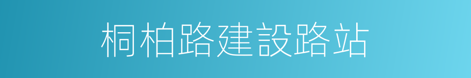 桐柏路建設路站的同義詞