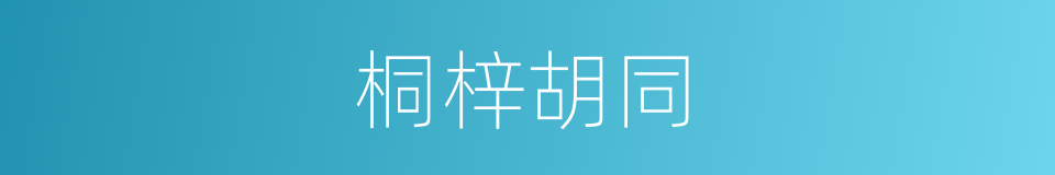 桐梓胡同的同义词