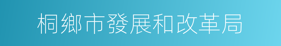 桐鄉市發展和改革局的同義詞