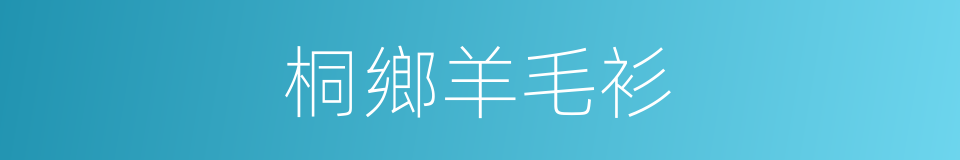 桐鄉羊毛衫的同義詞