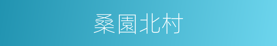 桑園北村的同義詞