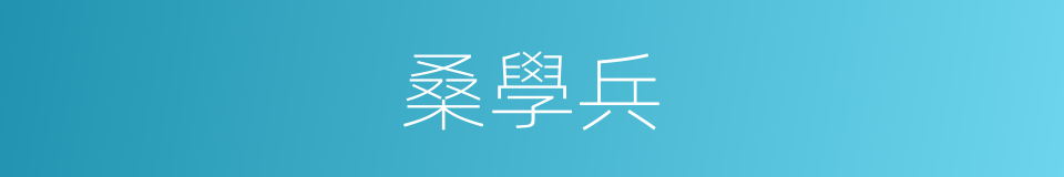 桑學兵的同義詞