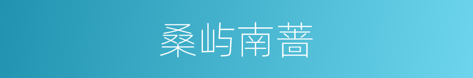 桑屿南蔷的同义词
