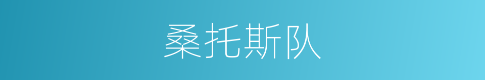 桑托斯队的同义词