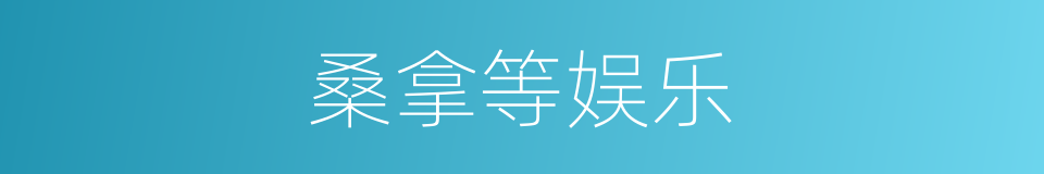 桑拿等娱乐的同义词