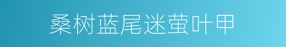 桑树蓝尾迷萤叶甲的同义词