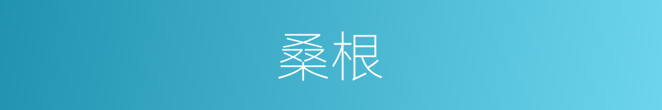 桑根的意思