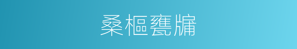 桑樞甕牖的意思