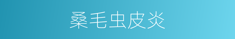 桑毛虫皮炎的同义词