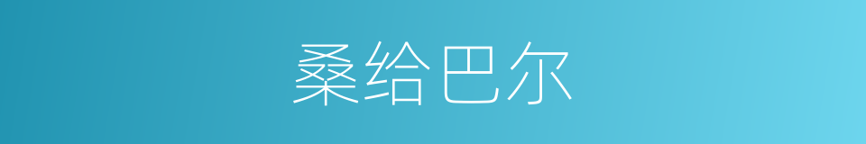 桑给巴尔的意思