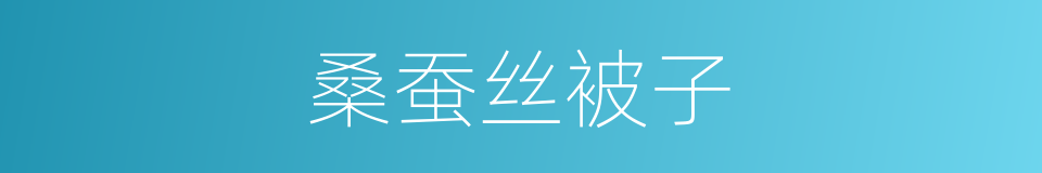 桑蚕丝被子的同义词
