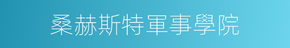 桑赫斯特軍事學院的同義詞