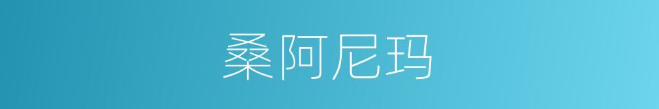 桑阿尼玛的同义词