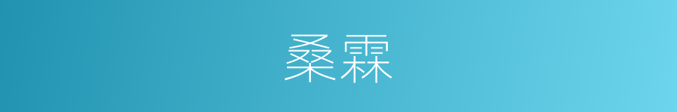 桑霖的同义词