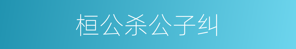 桓公杀公子纠的同义词