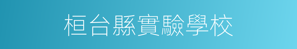 桓台縣實驗學校的同義詞