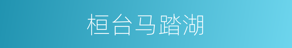桓台马踏湖的同义词