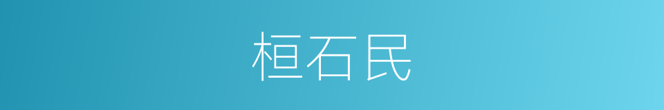 桓石民的同义词