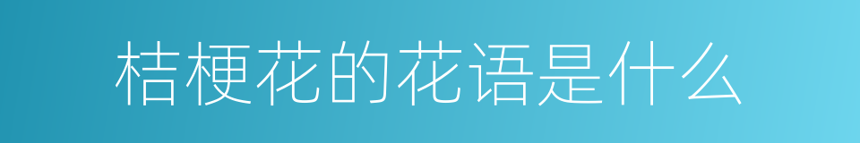 桔梗花的花语是什么的同义词