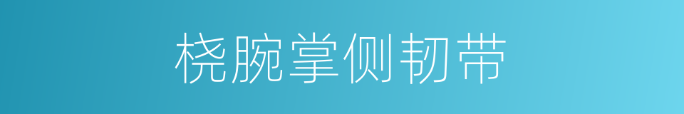 桡腕掌侧韧带的同义词